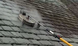 roof cleaning services